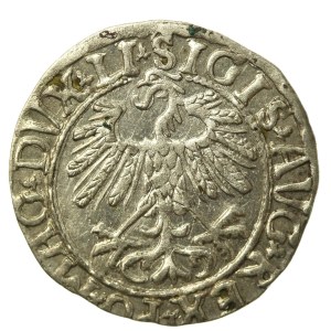 Zygmunt II August, Półgrosz 1558, Wilno - LI/LITV (672)