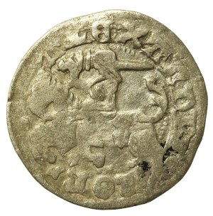 Alexander Jagiellonian, Half-penny, Vilnius-Gothic (674)