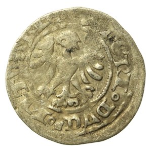 Aleksander Jagiellończyk, Półgrosz, Wilno - gotyk (674)