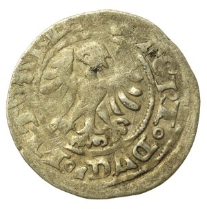 Alexander Jagiellonian, Half-penny, Vilnius-Gothic (674)