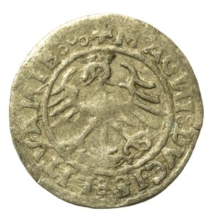 Zygmunt I Stary, Półgrosz 1520, Wilno, SIGISMVANDI - odwrócone N (681)