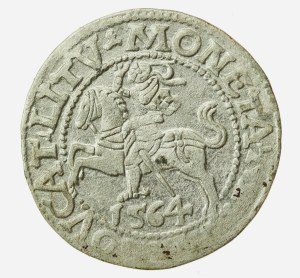 Sigismund II Augustus, Half-penny 1564, Vilnius - L/LITV (1201)