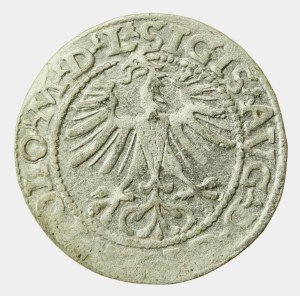 Sigismund II Augustus, Half-penny 1564, Vilnius - L/LITV (1201)