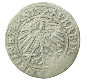 Silesia, Duchy of Legnicko-Brzesko-Wołowo, Frederick II, 1544 penny, Legnica (1203)