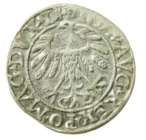 Sigismund II Augustus, Half-penny 1558, Vilnius - LI/LITVA (1206)