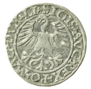 Sigismund II Augustus, Half-penny 1561, Vilnius - LI/LITV (1210)