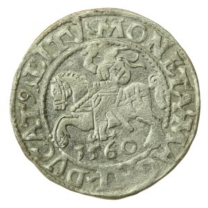 Zygmunt II August, Półgrosz 1560, Wilno - LI/LITV (1214)