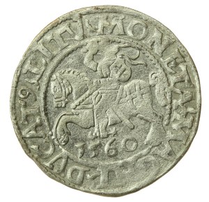 Sigismund II Augustus, Half-penny 1560, Vilnius - LI/LITV (1214)