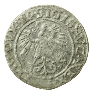 Zygmunt II August, Półgrosz 1560, Wilno - LI/LITV (1214)