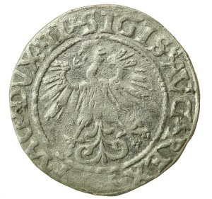 Sigismund II Augustus, Half-penny 1560, Vilnius - LI/LITV (1214)