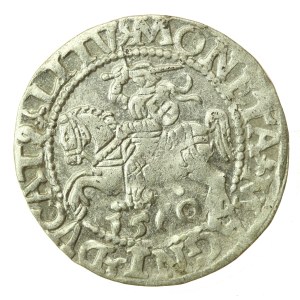 Zygmunt II August, Półgrosz 1560, Wilno - L/LITV (1215)
