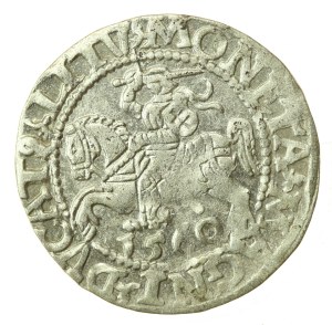 Sigismund II Augustus, Half-penny 1560, Vilnius - L/LITV (1215)