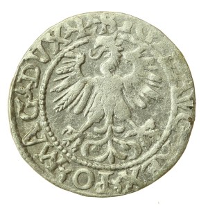 Zygmunt II August, Półgrosz 1560, Wilno - L/LITV (1215)
