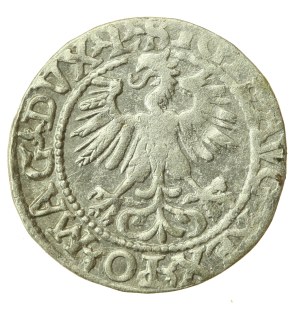 Sigismund II Augustus, Half-penny 1560, Vilnius - L/LITV (1215)