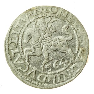 Zygmunt II August, Półgrosz 1564, Wilno - L/LITV (1217)