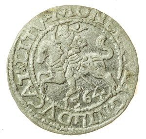 Sigismund II Augustus, Half-penny 1564, Vilnius - L/LITV (1217)