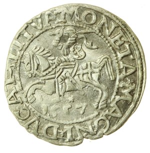 Sigismund II Augustus, Half-penny 1557, Vilnius - LI/LITVA (1220)