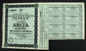 Society for Mining Enterprises TEPEGE S.A. in Krakow, 100 x 1,000 mkp 1923 (952)