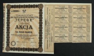 Society for Mining Enterprises TEPEGE S.A. in Cracow, 1,000 mkp 1923 (953)