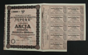 Society for Mining Enterprises TEPEGE S.A. in Krakow, 20 x 1,000 mkp 1923 (954)