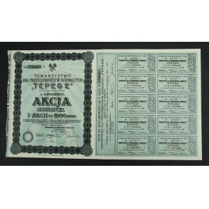 Towarzystwo dla Przedsiębiorstw Górniczych TEPEGE S.A. w Krakowie, 5 x 1.000 mkp 1923 (955)
