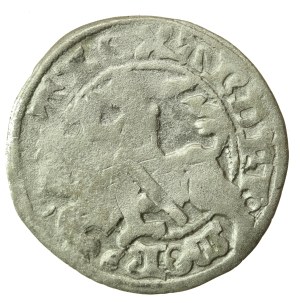 Alexander Jagiellonian, Half-penny, Vilnius-Gothic (1222)