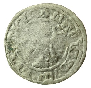 Alexander Jagiellonian, Half-penny, Vilnius-Gothic (1222)