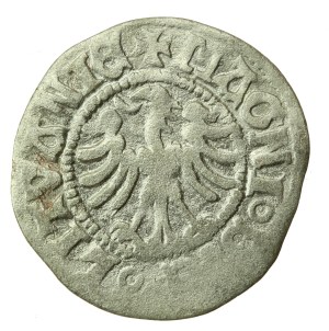 Alexander Jagiellonian, Half-penny, Vilnius-Renaissance (1224)