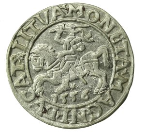 Sigismund II Augustus, Half-penny 1556 Vilnius - LI/LITVA (1227)