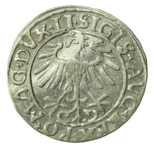 Sigismund II Augustus, Half-penny 1556 Vilnius - LI/LITVA (1227)
