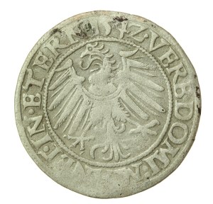 Silesia, Duchy of Legnicko-Brzesko-Wołowo, Frederick II, 1542 penny, Legnica (1233)