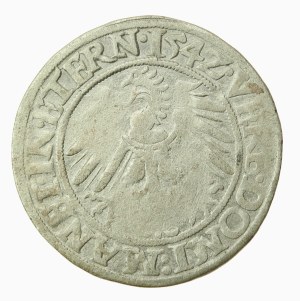 Silesia, Duchy of Legnicko-Brzesko-Wołowo, Frederick II, 1542 penny, Legnica (1234)