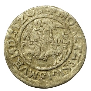 Zygmunt I Stary, Półgrosz 1520, Wilno - skrócona data 520. SIGISMUANDI (644)