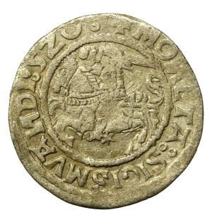 Sigismund I the Old, Half-penny 1520, Vilnius - abbreviated date 520. SIGISMUANDI (644)
