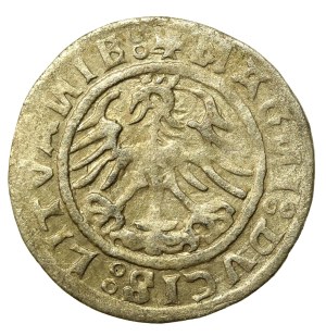 Sigismund I the Old, Half-penny 1520, Vilnius - abbreviated date 520. SIGISMUANDI (644)