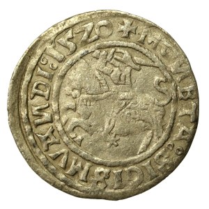 Zygmunt I Stary, Półgrosz 1520, Wilno, SIGISMVANDI - odwrócone N (648)