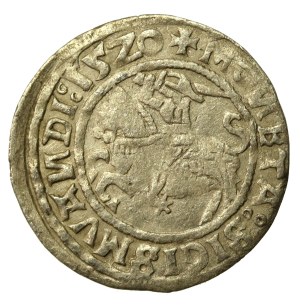 Sigismund I the Old, Half-penny 1520, Vilnius, SIGISMVANDI - reversed N (648)