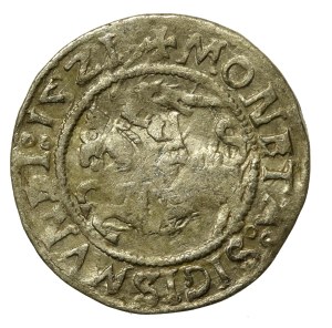 Sigismund I the Old, Half-penny 1521, Vilnius (649)