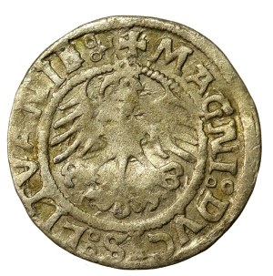 Sigismund I the Old, Half-penny 1521, Vilnius (649)