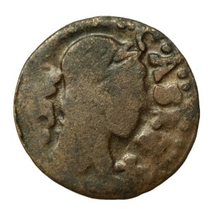 John II Casimir, a forgery from the Crown Boratine era (688)