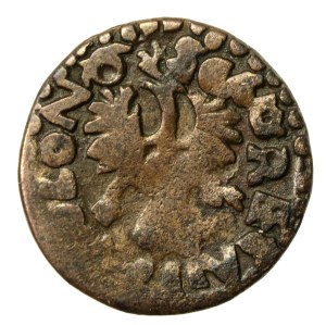 John II Casimir, a forgery from the Crown Boratine era (688)