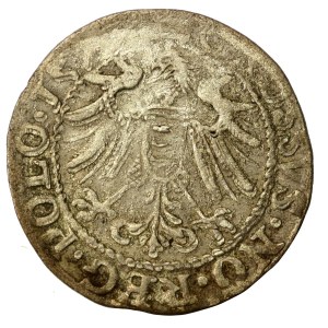 Stefan Batory, Grosz Olkusz 1579. Bardzo rzadki (1303)