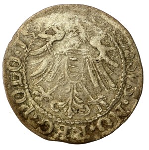 Stefan Batory, Olkusz Penny 1579. very rare (1303)