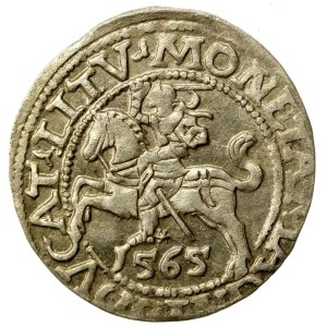Sigismund II Augustus, Half-penny 1565, Vilnius - L/LITV (506)