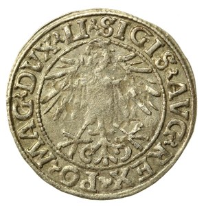 Zygmunt II August, Półgrosz 1548, Wilno - L/LITVA (516)