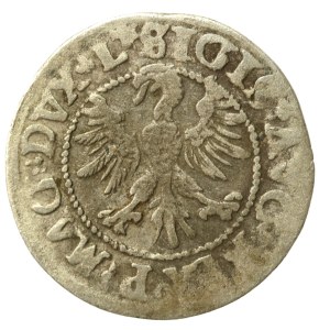Sigismund II Augustus, Half-penny 1546, Vilnius - older Eagle type (517)