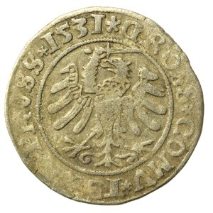 Zygmunt I Stary, Grosz 1531, Toruń. Prus/Prus (534)