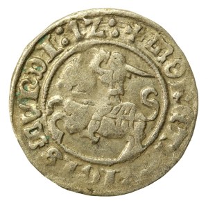 Sigismund I. der Alte, Halber Pfennig 1512, Vilnius (537)
