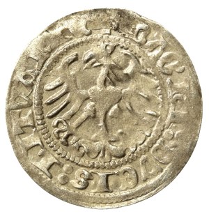 Sigismund I. der Alte, Halbpfennig 1513, Wilna (538)