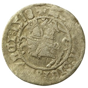 Sigismund I the Old, Half-penny 1518, Vilnius - Inverted D (539)
